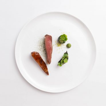 鸽子